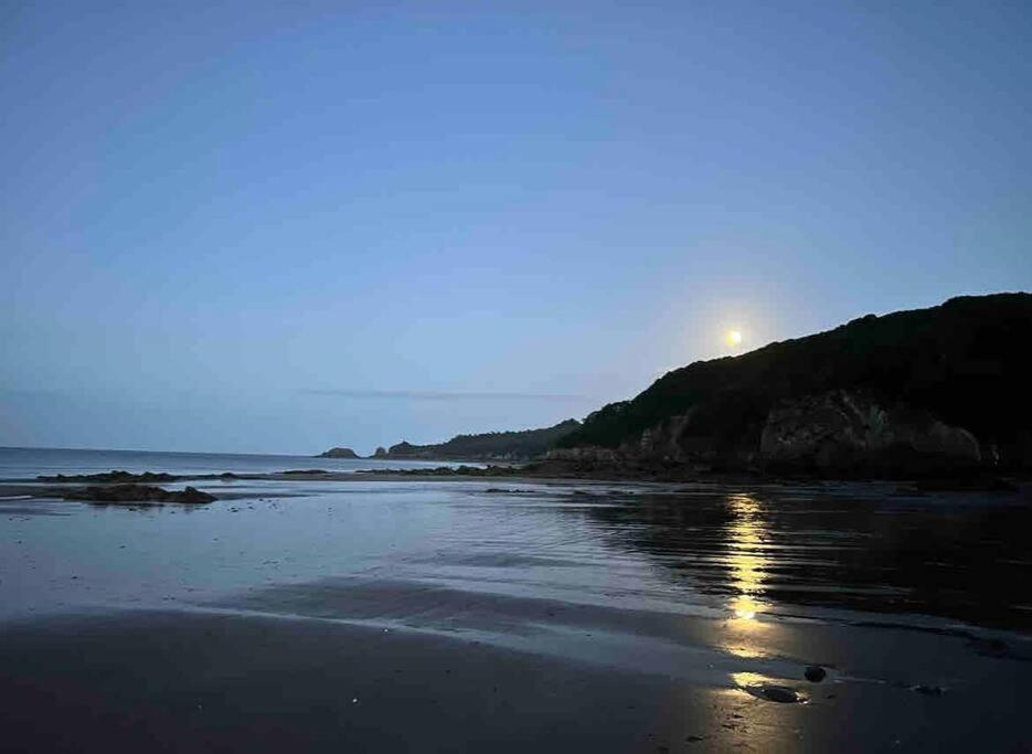 Rhodewood House Saundersfoot Apartment Luaran gambar