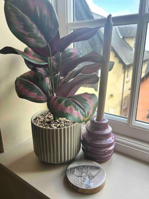 Rhodewood House Saundersfoot Apartment Luaran gambar